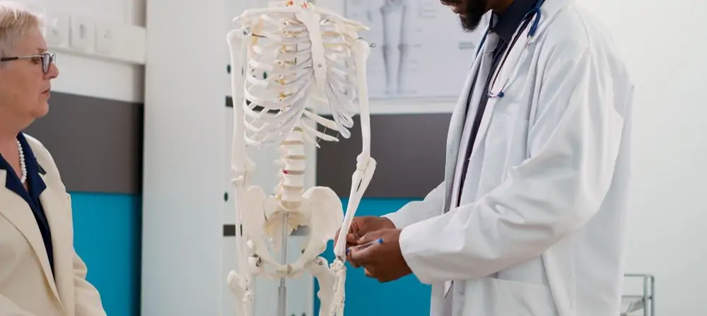 Orthopaedic surgeon discussing skeletal health with patient using a human skeleton model in a clinic.